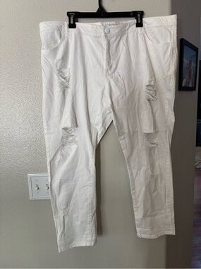 Bongo Plus White Distressed Skinny Jeans Size 22W